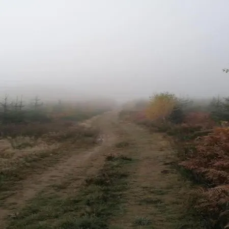 In Chevron With Garden Terrace Casa de Férias *