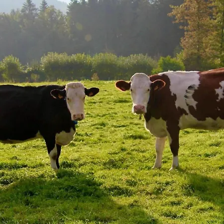 In Chevron With Garden Terrace Casa de Férias *