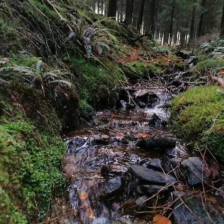 In Chevron With Garden Terrace Casa de Férias Neucy