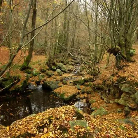 In Chevron With Garden Terrace *