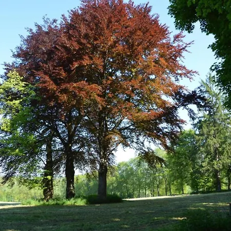 Casa de Férias In Chevron With Garden Terrace