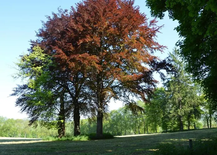 Casa vacanze In Chevron With Garden Terrace