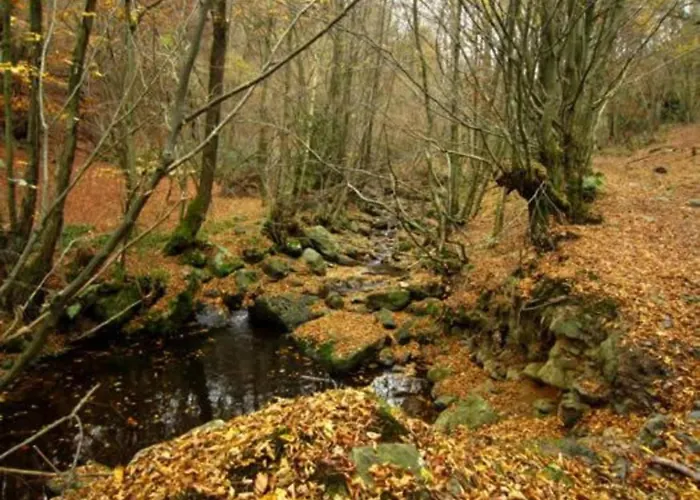 In Chevron With Garden Terrace *