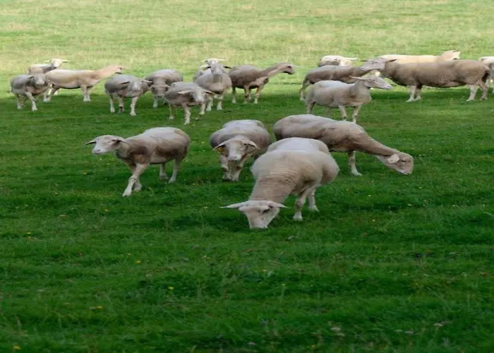 In Chevron With Garden Terrace Neucy