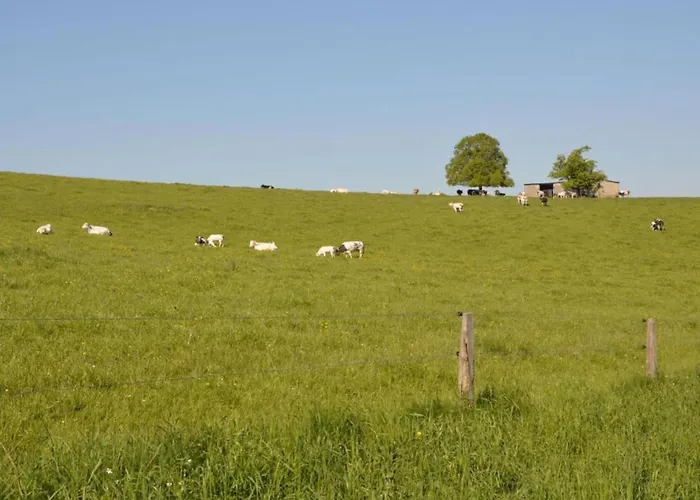 In Chevron With Garden Terrace Casa vacanze