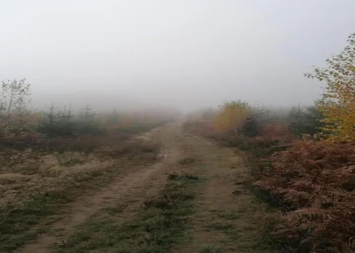 In Chevron With Garden Terrace Casa vacanze *