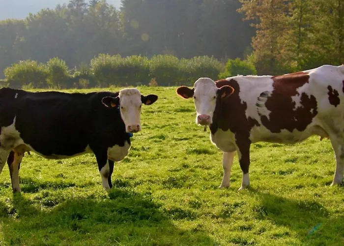 In Chevron With Garden Terrace Casa vacanze *