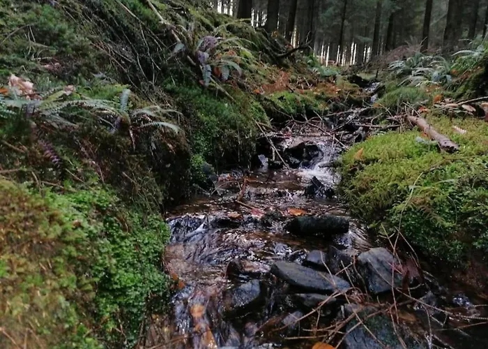 In Chevron With Garden Terrace Casa vacanze Neucy